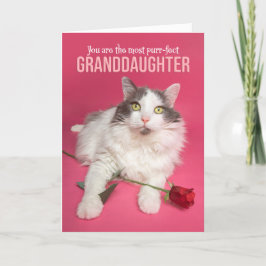 Alla hjärtans dag Granddotters cute Cat Helgkort
