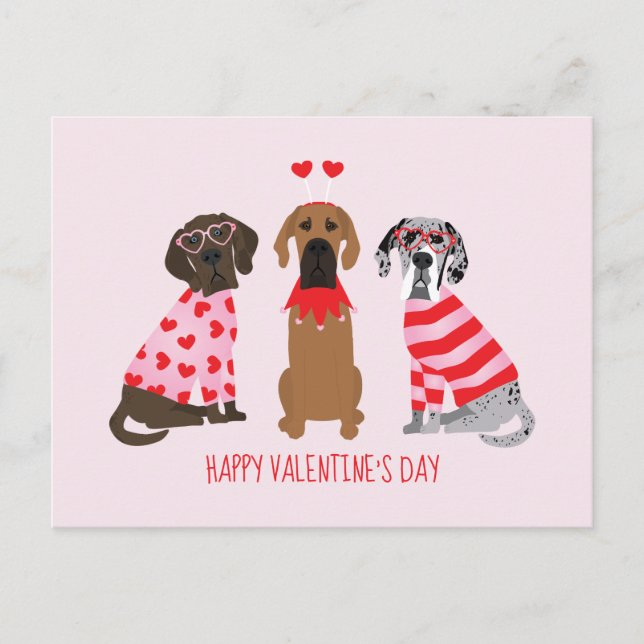 Alla hjärtans dag Great dane Hundar Vykort (Framsida)