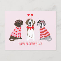 Alla hjärtans dag Great dane Hundar