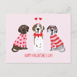 Alla hjärtans dag Great dane Hundar Vykort