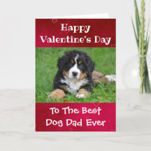 Alla hjärtans dag Hundpappa Världens bästa någonsi