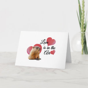 Alla hjärtans dag i Cute Guinea Kärlek Hearts Gris Kort
