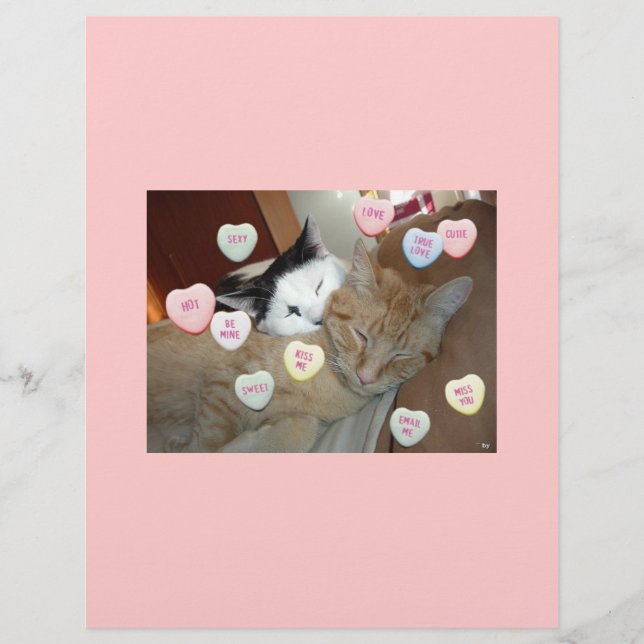 Alla hjärtans dag Kittens Reklamblad (Framsidan)