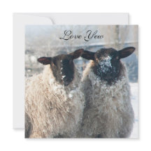 Alla hjärtans dag-kort