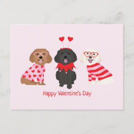 Alla hjärtans dag Maltipoo Hundar Vykort