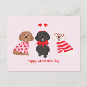 Alla hjärtans dag Maltipoo Hundar Vykort