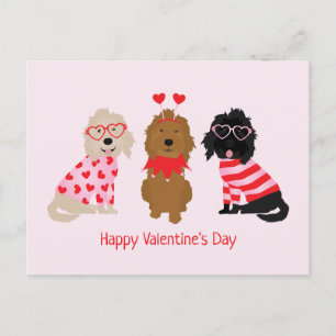 Alla hjärtans dag Mini Goldendoodle Hundar Vykort