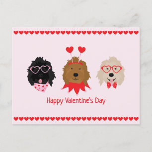 Alla hjärtans dag Mini Goldendoodle Hundar Vykort