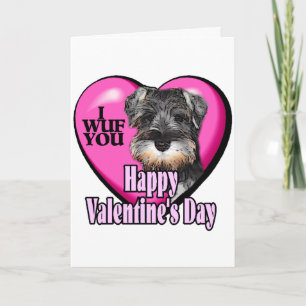 Alla hjärtans dag Miniature Schnauzer Helgkort