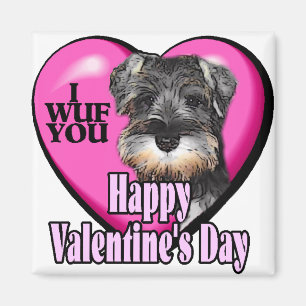 Alla hjärtans dag Miniature Schnauzer Magnet