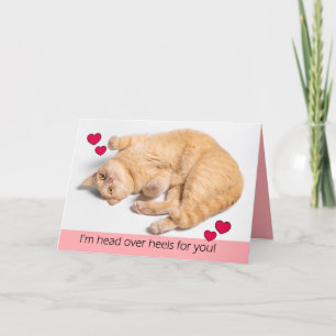 Alla hjärtans dag Orange Tabby katt Helgkort