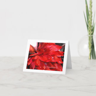 Alla hjärtans dag Red Feather Heart Helgkort