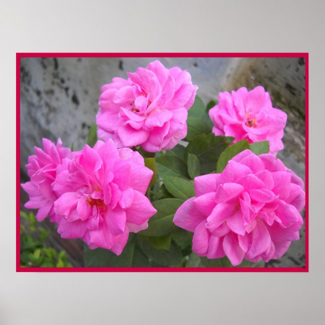 Alla hjärtans dag Ro-Poster Poster (Framsidan)