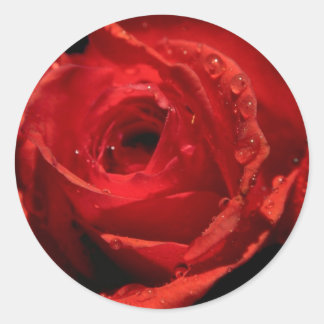 Alla hjärtans dag runt klistermärke