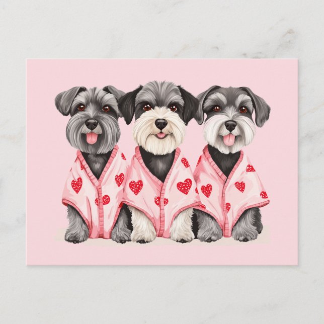 Alla hjärtans dag Schnauzer Hundar Helg Vykort (Framsida)