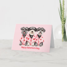 Alla hjärtans dag Schnauzer Hundar