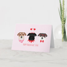 Alla hjärtans dag Schnauzer Hundar