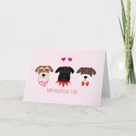 Alla hjärtans dag Schnauzer Hundar Helgkort