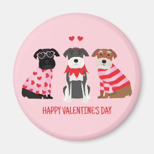 Alla hjärtans dag Schnauzer Hundar Magnet