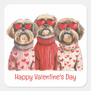 Alla hjärtans dag Shih Tzu Hundar Fyrkantigt Klistermärke