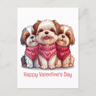 Alla hjärtans dag Shih Tzu Hundar Vykort