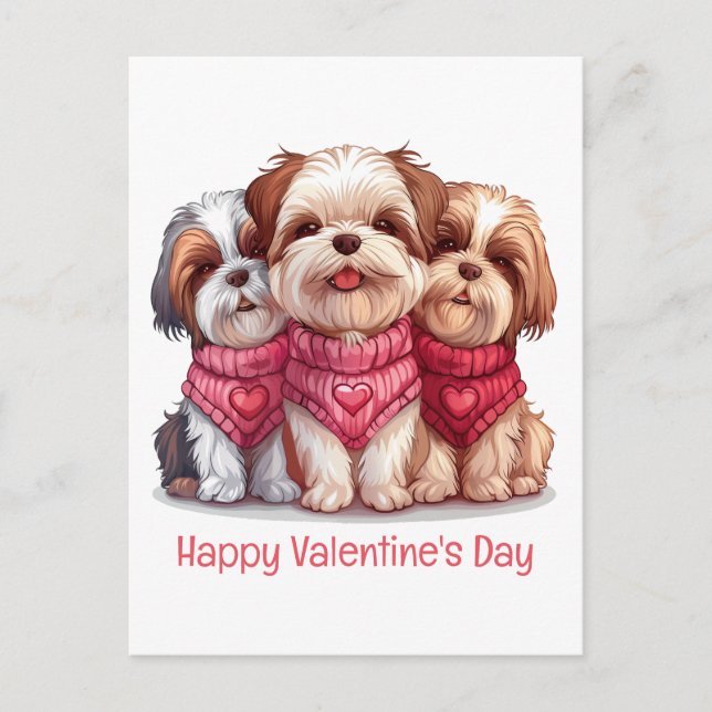 Alla hjärtans dag Shih Tzu Hundar Vykort (Framsida)