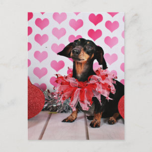Alla hjärtans dag - Sophia - Dachshund Helg Vykort