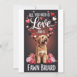 Alla hjärtans dag Söt lammfärgad briard Foto Knuff Julkort