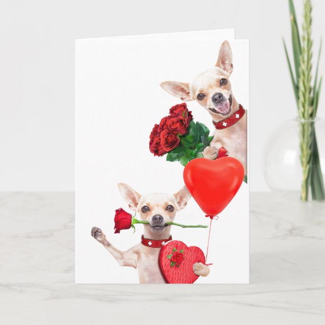 Alla hjärtans dag söta roliga chihuahuor med rosor kort (Framsida)
