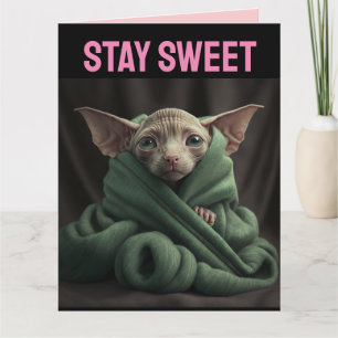 ALLA HJÄRTANS DAG SPHINX SÖT HÅRLÖS KATT STOR KORT