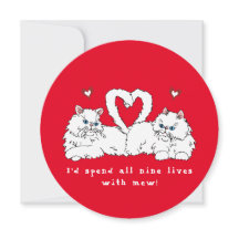 Alla hjärtans dag vita persiska katter med hjärtan