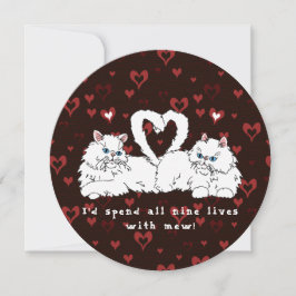 Alla hjärtans dag vita persiska katter med hjärtan