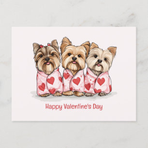 Alla hjärtans dag Yorkshire Terrier Hundar Helg Vykort