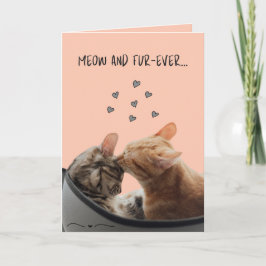Alla hjärtans dags-kort, Meow och Fur-Ever Kort
