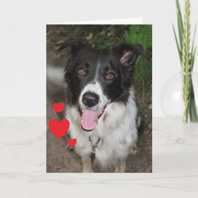 Alla hjärtans dagskort från Hund Helgkort (Framsida)