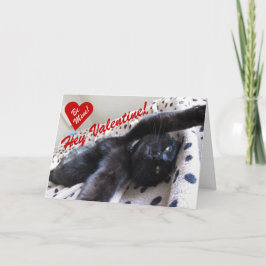 Alla hjärtans dagskort med söt katt helgkort