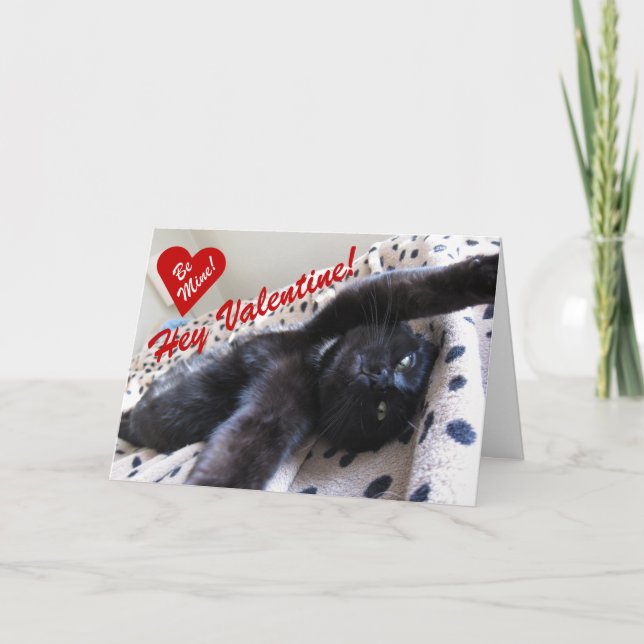 Alla hjärtans dagskort med söt katt helgkort (Framsida)