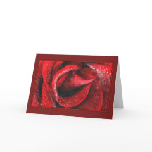 Alla hjärtans målade Röd ros