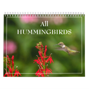 Alla Hummingbird-kalender Kalender