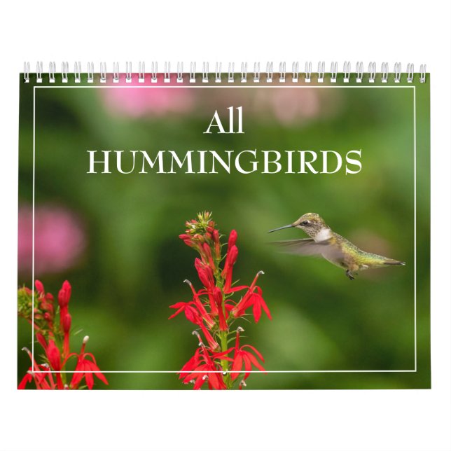 Alla Hummingbird-kalender Kalender (Omslag)