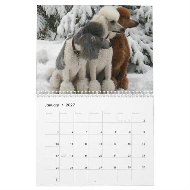 Alla hundar är från himmelkalender kalender (Jan 2027)