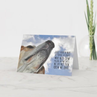 ALLA HUNDAR GÅR TILL HJÄLPKORT TACK KORT