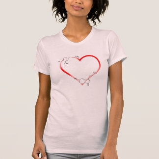 Alla i kemin tee shirt