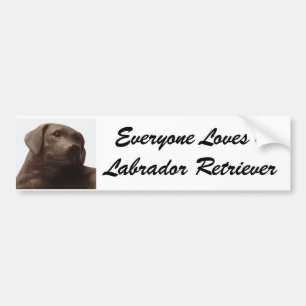 Alla Kärlek a Labrador Retriever Bildekal