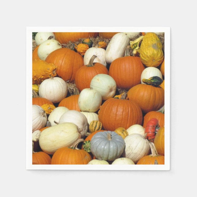 Alla Kärlek Pumpkins Pappra Napkins Pappersservett (Framsidan)