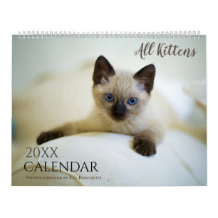 Alla Katter Söta 2027 Väggkalender Present Katter Kalender