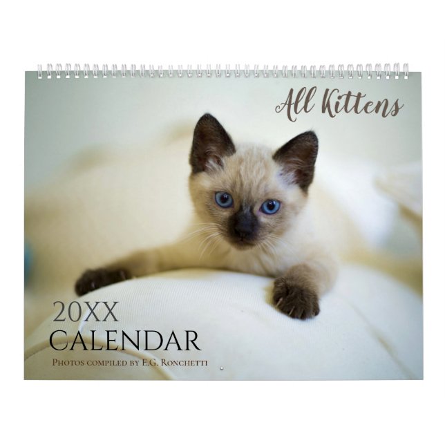 Alla Kittens Cute 2025 Wall Calendar Gift Kalender (Omslag)