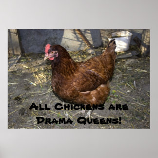 Alla kycklingar är Drama Queens! Poster