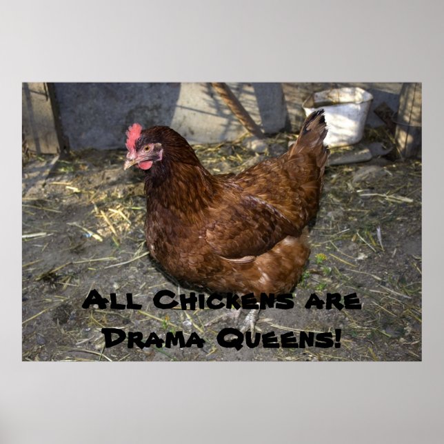 Alla kycklingar är Drama Queens! Poster (Framsidan)