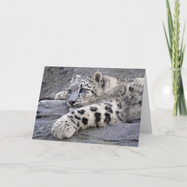 Alla lekte ut kortet kort (Framsida)